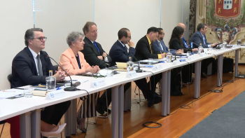Imagem de Açores vão ter plano estratégico das migrações para a próxima década