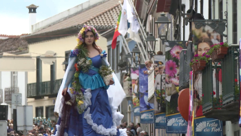 Imagem de Festa da Flor na Ribeira Grande teve como tema este ano ‘Os Oceanos’