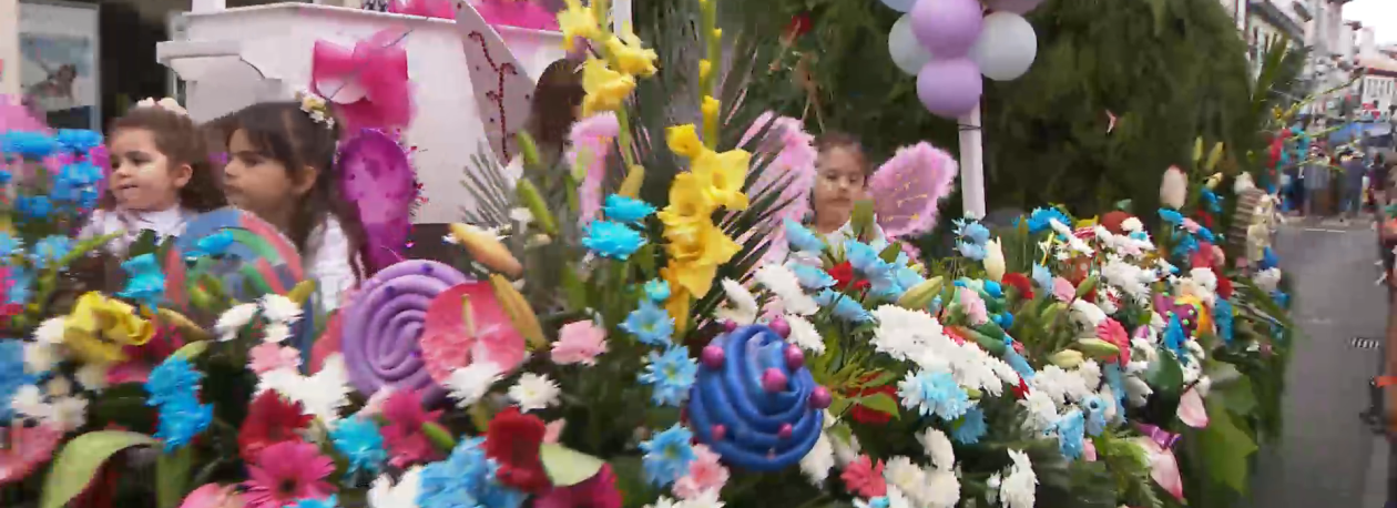 Imagem de Festa da Flor começa hoje na Ribeira Grande