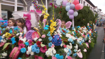 Festa da Flor começa hoje na Ribeira Grande