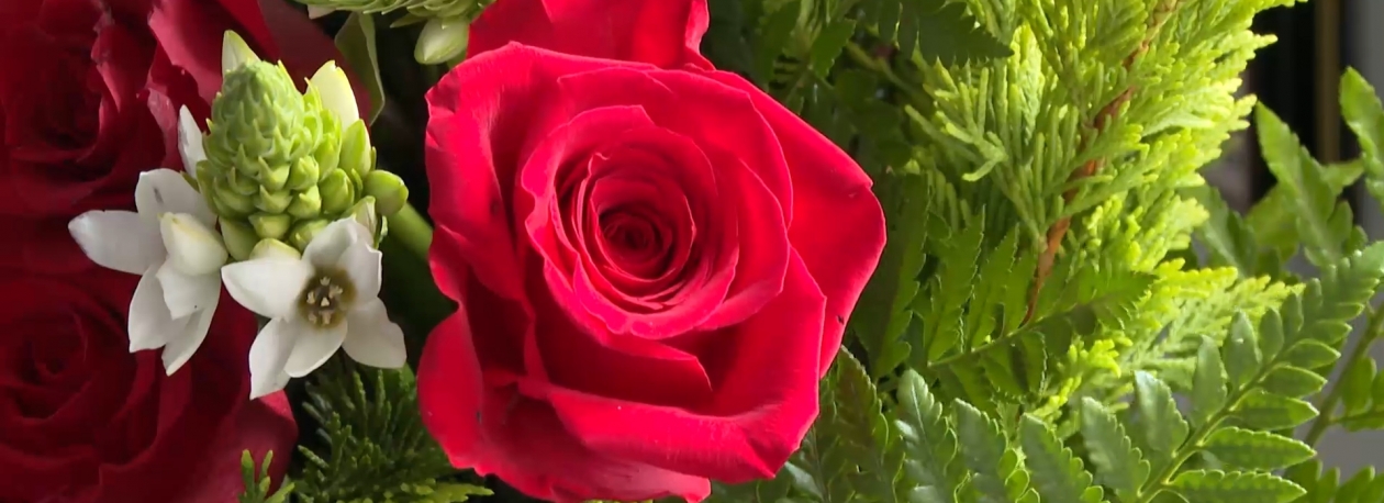 Imagem de Festas Senhor Santo Cristo: Voluntários preparam arranjos florais