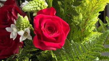 Festas Senhor Santo Cristo: Voluntários preparam arranjos florais