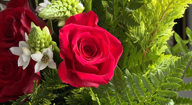 Imagem de Festas Senhor Santo Cristo: Voluntários preparam arranjos florais