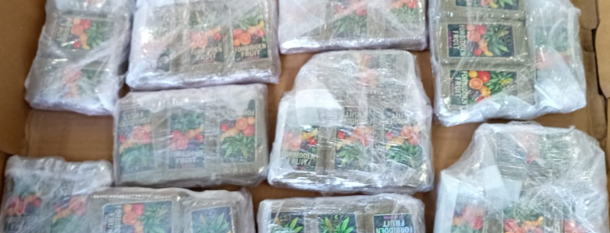 Imagem de PJ faz a maior apreensão de sempre de haxixe no Grupo Ocidental