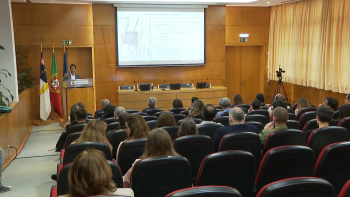 Apresentado o Mercado Voluntário do Carbono em Ponta Delgada