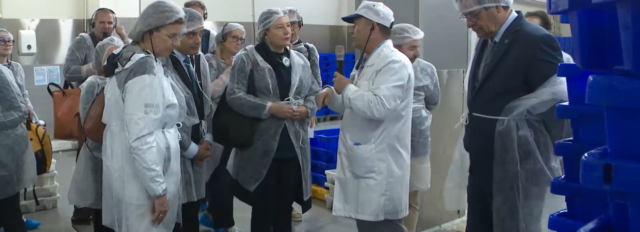 Imagem de Comissão das Pescas visita Açores: Programa para combater sobrecustos em análise