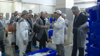 Comissão das Pescas visita Açores: Programa para combater sobrecustos em análise
