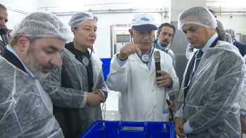 Imagem de Eurodeputados ouvem preocupações dos pescadores em Rabo de Peixe