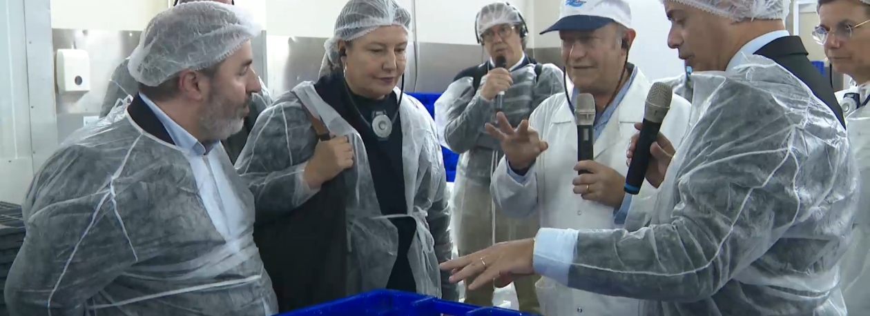 Imagem de Comissão das Pescas do Parlamento Europeu defende diferenciação dos apoios para as regiões ultraperiféricas
