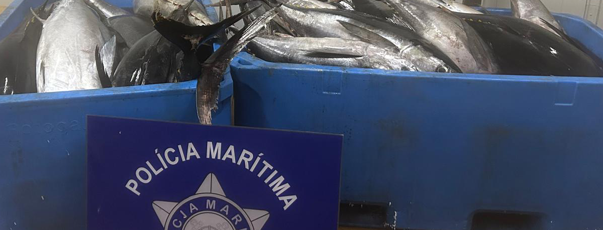 Imagem de Polícia Marítima apreende mais de 1,5 toneladas de atum em Santa Maria