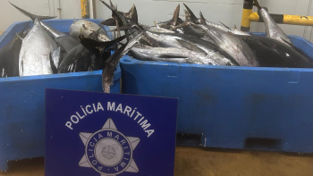 Polícia Marítima apreende mais de 1,5 toneladas de atum em Santa Maria