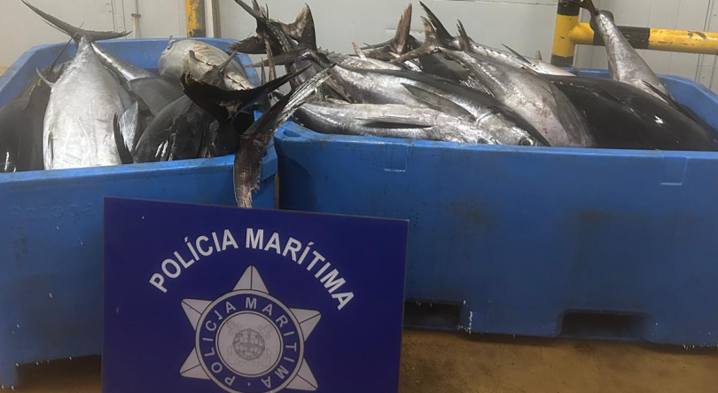 Polícia Marítima apreende mais de 1,5 toneladas de atum em Santa Maria