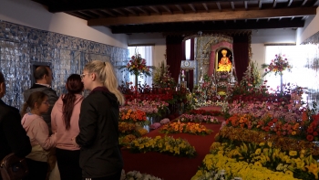 Imagem de Santo Cristo dos Milagres: Receção ao emigrante repleta de emoção