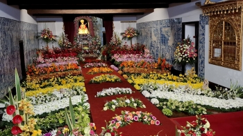 Imagem de Festas do Senhor Santo Cristo: Cardeal D. António Marto diz que cristãos devem ser mensageiros da paz