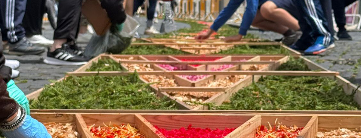 Imagem de Festas do Senhor Santo Cristo: Fiéis preparam tapetes com centenas de flores para Mudança da Imagem