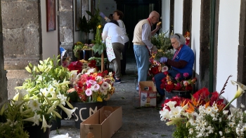 Imagem de Voluntários homenageiam Senhor Santo Cristo com ornamentação de flores no Convento da Esperança