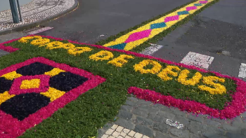 Imagem de Tapetes de flores atraem visitantes à festa do Corpo de Deus na Povoação