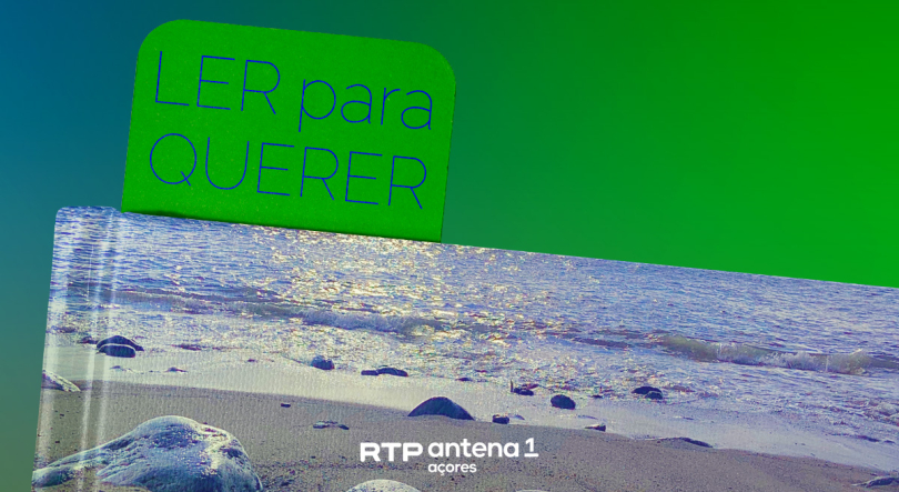 Ler para Querer