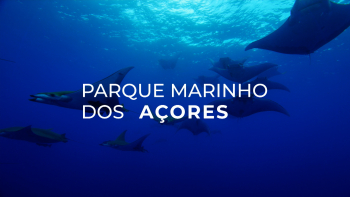 Imagem de Parque Marinho dos Açores