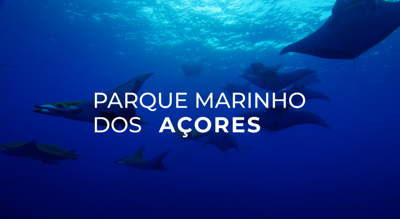 Parque Marinho dos Açores