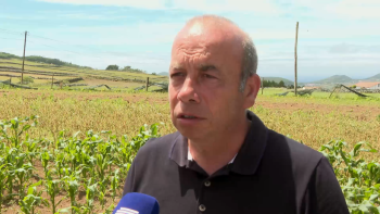 PCP acusa Governo de estar esgotado e aponta falhas na ilha Graciosa