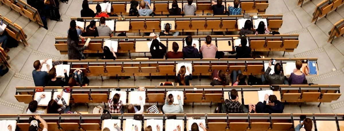 Imagem de Jovem faialense cria plataforma para calcular a probabilidade de entrada num curso superior