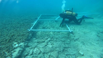 Museu de Arqueologia Náutica e Subaquática: Parlamento vai propor projeto à República