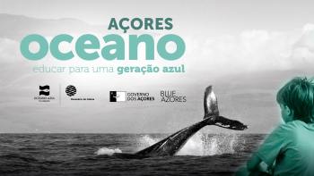 Imagem de Professores do 1º ciclo nos Açores vão ter formação em literacia dos oceanos