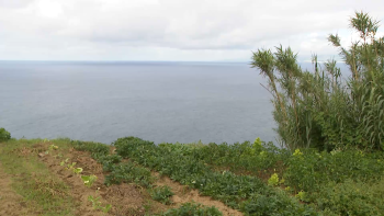 Derrocada hoje em Santo António na ilha de São Miguel