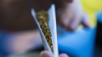 Estudo do ICAD revela que drogas leves baixam 1,2% nos Açores