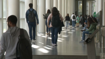 Frequência Ensino Superior: Portugal tem uma das taxas mais altas da Europa