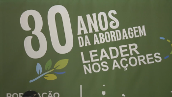 Imagem de Novo Quadro Comunitário: Abordagem Leader vai continuar a ser obrigatória
