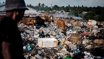 Garbage in Paradise: Luís Godinho expõe o lado obscuro de um paraíso turístico