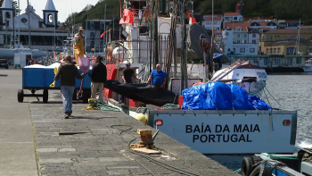 Alfonsim e Imperador: Governo vai defender mais 10 toneladas de quota