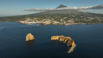 Ilha do Pico aposta na certificação de 30 hectares de vinha em modo biológico
