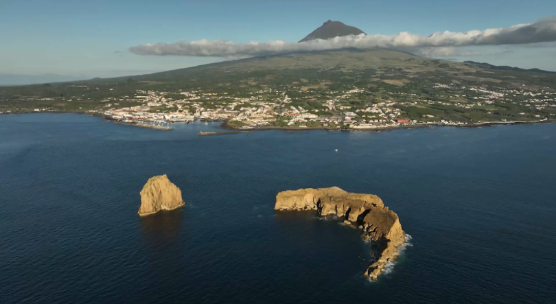 Ilha do Pico aposta na certificação de 30 hectares de vinha em modo biológico