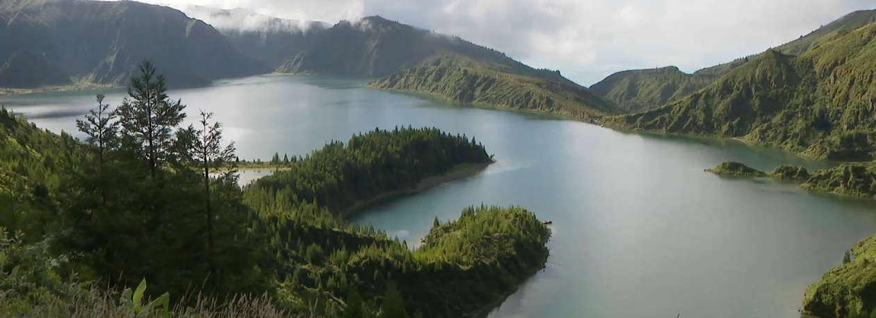 Imagem de Renaturalização da Lagoa do Fogo com 17 mil exemplares de endémicas