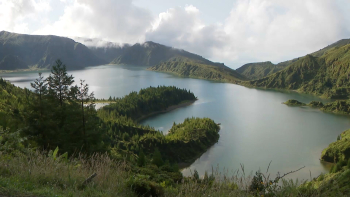 Renaturalização da Lagoa do Fogo com 17 mil exemplares de endémicas