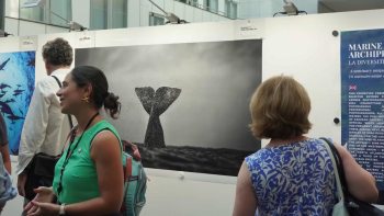 Parlamento Europeu recebe exposição fotográfica ‘Açores: 9 Ilhas, 1 Oceano’