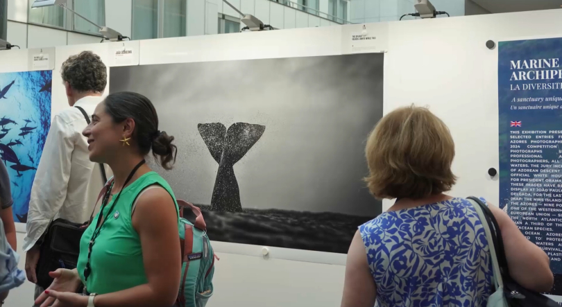 Imagem de Parlamento Europeu recebe exposição fotográfica ‘Açores: 9 Ilhas, 1 Oceano’