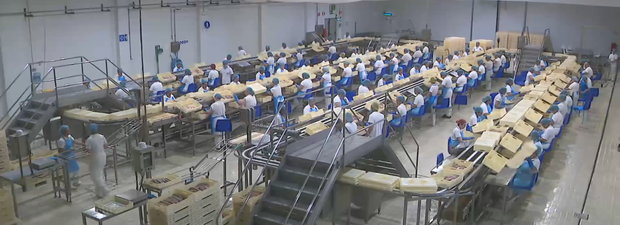Imagem de Manifestação de trabalhadores esta manhã na Cofaco