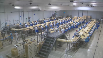Imagem de Trabalhadores da Cofaco vão fazer greve de 20 a 24 de julho