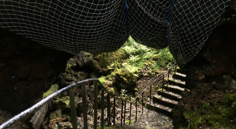 Imagem de Gruta das Torres reabre ao público depois de 2 anos encerrada