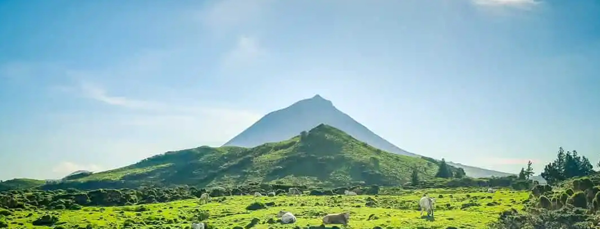 Imagem de Câmara das Lajes do Pico apoia agricultores na construção de pequenas lagoas de retenção de águas pluviais