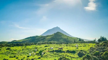 Câmara das Lajes do Pico apoia agricultores na construção de pequenas lagoas de retenção de águas pluviais