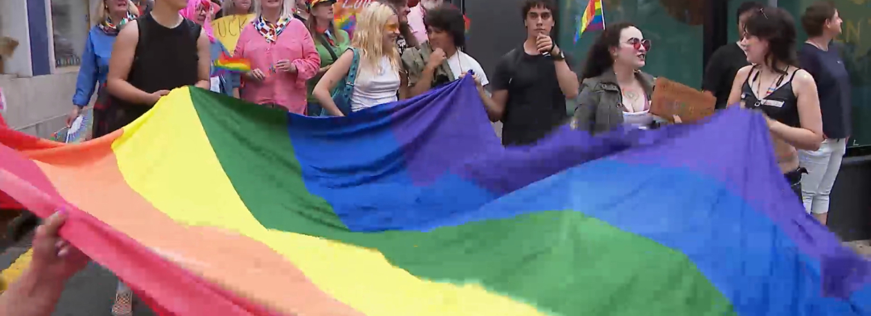 Imagem de Marcha orgulho LGBTQIA+: 300 pessoas participam em encontro pela igualdade e liberdade