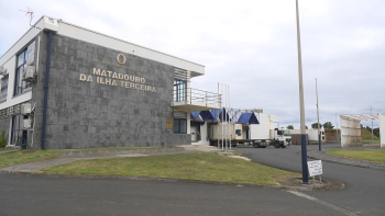 Certificados de bem-estar animal dos matadouros da Região foram renovados