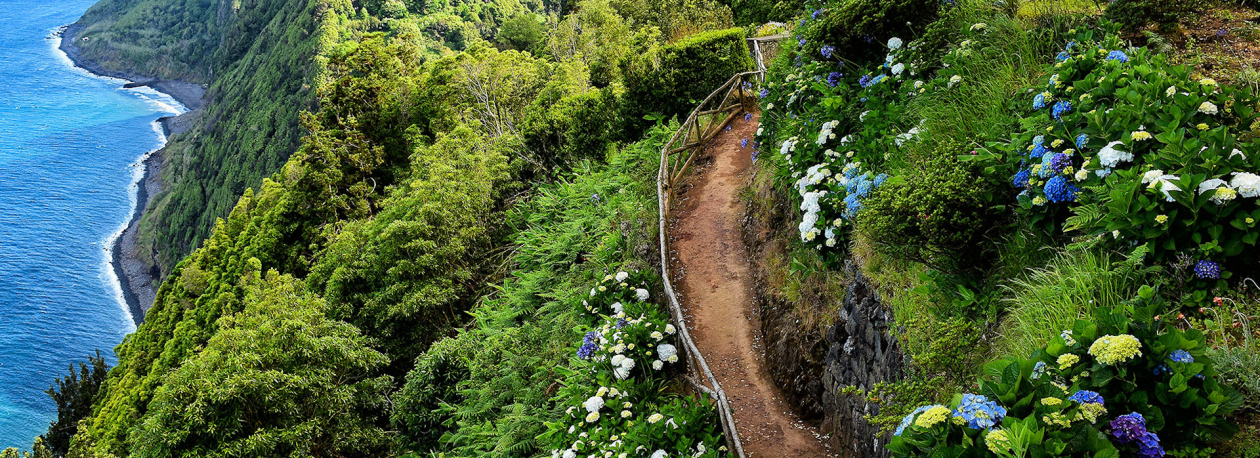 Imagem de Requalificação de acesso ao Pico da Vara recupera 3,5 km de trilho