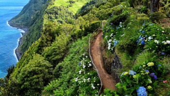 Requalificação de acesso ao Pico da Vara, nos Açores, recupera 3,5 km de trilho