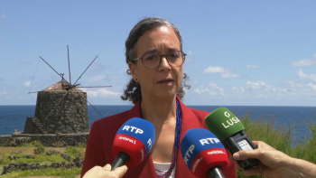 Imagem de Polémica notas exames nacionais: Sofia Ribeira elogia resposta das escolas açorianas
